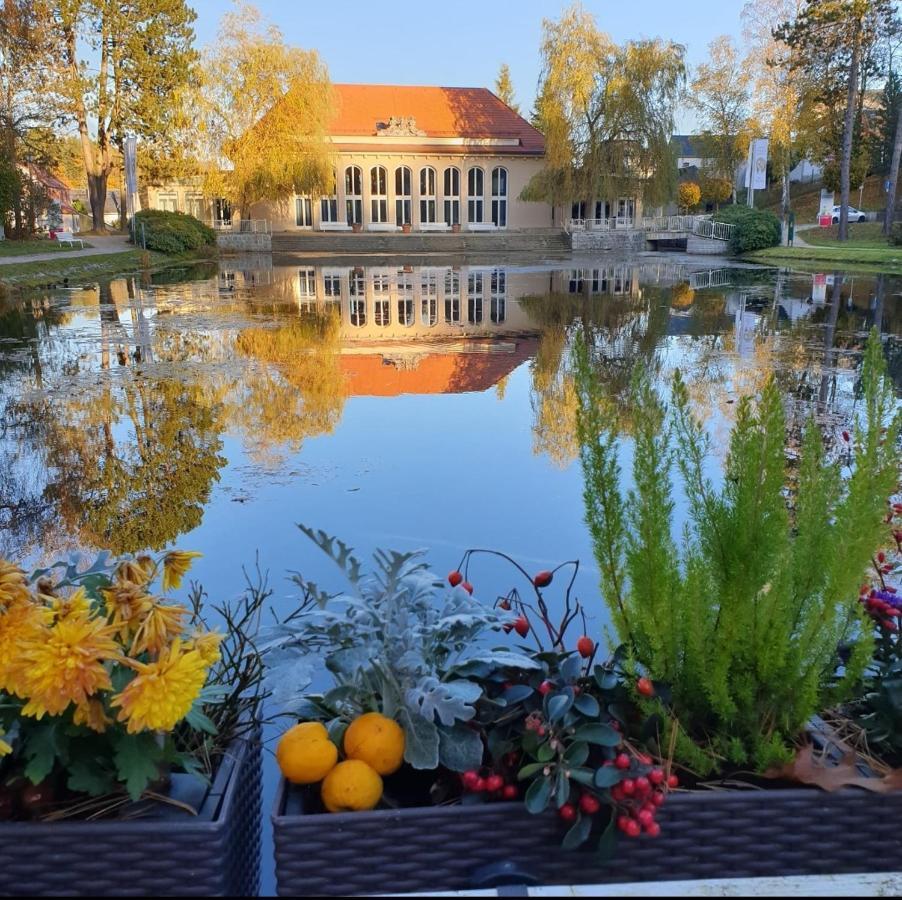 Hotel Garni Schloss Schoenberg Bad Brambach Dış mekan fotoğraf